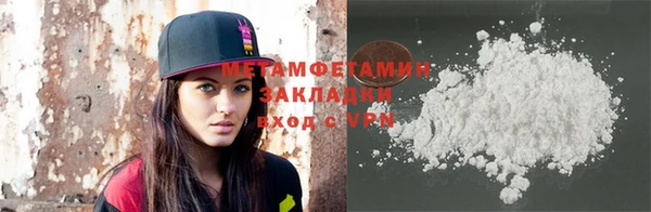индика Новодвинск