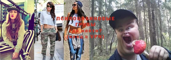 трава Абаза